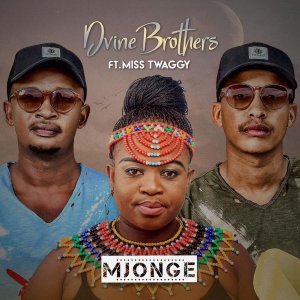 Dvine Brothers & Miss Twaggy – Mjonge