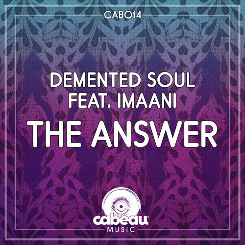 Demented Soul – The Answer