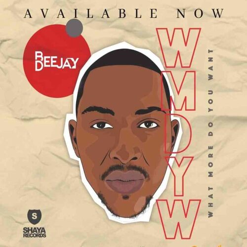 Bee Deejay – What More Do You Want