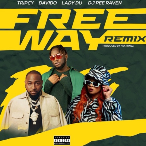 Tripsy, Lady Du, Davido & Nektunez – Freeway (Remix)