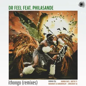 Dr Feel – Ithongo (Remixes)