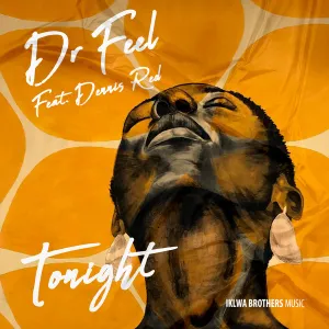 Dr Feel & Dennis Red – Tonight (Original Mix)