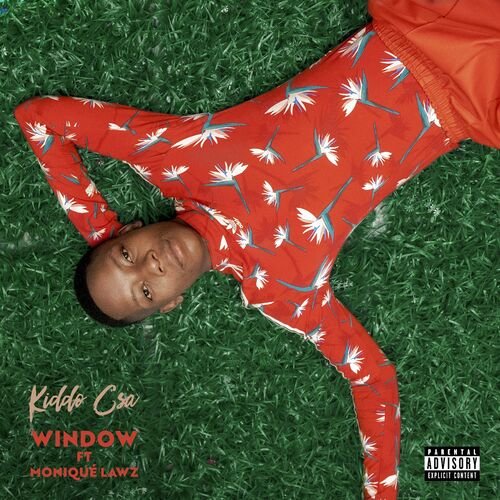 Kiddo CSA - Window