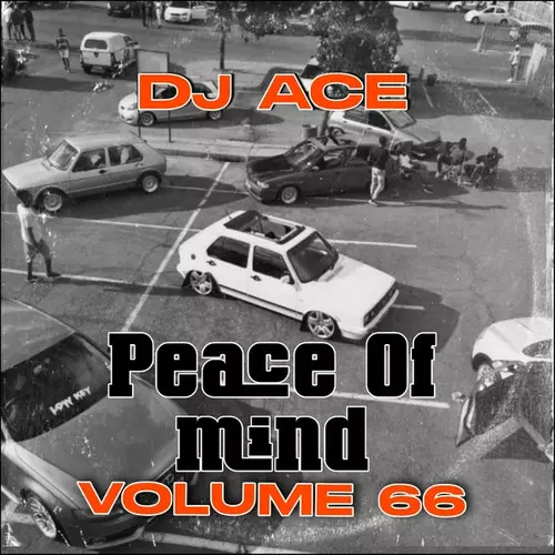 DJ Ace - Peace of Mind Vol 66 (AMA 45 MIX)