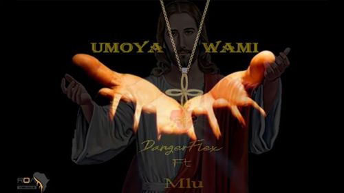 DangerFlex – Umoya Wami