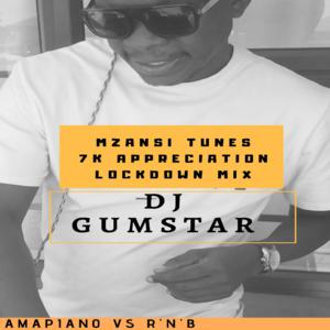 DJ Gumstar - Mzanzi Tunes 7K Appreciation Lockdown Mix