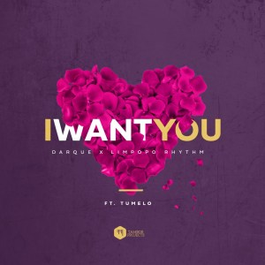 Darque & Limpopo Rhythm – I Want You