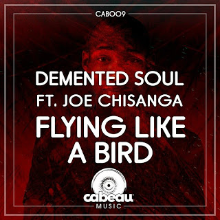 Demented Soul - Flying Like A Bird