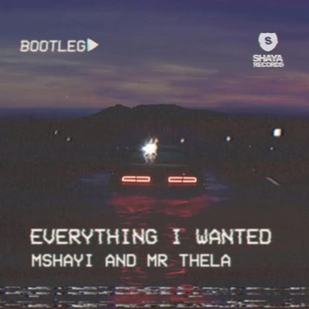 Mr Thela & Mshayi – Everything I Wanted (Bootleg)