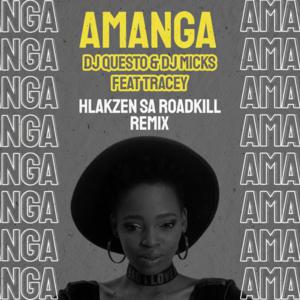 Dj Questo & Dj Micks - Amanga Ft Tracey (Hlakzen SA Roadkill)