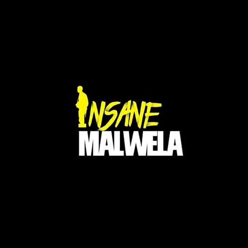 Insane Malwela & Cheestos - Demented Us (Original Mix)