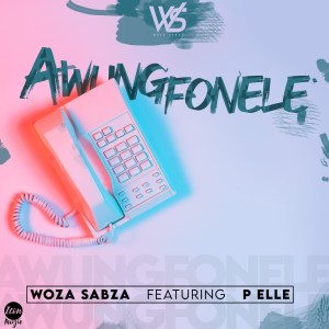 Woza Sabza – Awungfonele