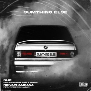 Sumthing Else – Nuz