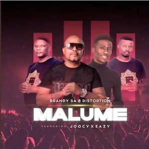 BrandySA & Distortion – Malume