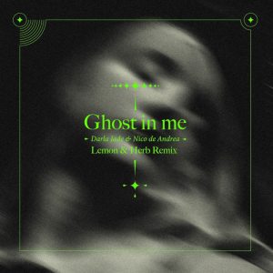 Nico De Andrea – Ghost in Me (Lemon & Herb Remix)