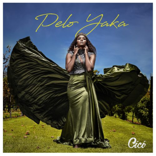 Cici – Pelo Yaka