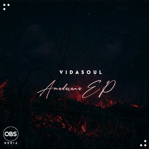 Vida-soul – Amadamara EP