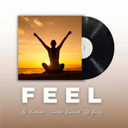 Mc Norman, DJ Buckz & Zander Baronet – Feel