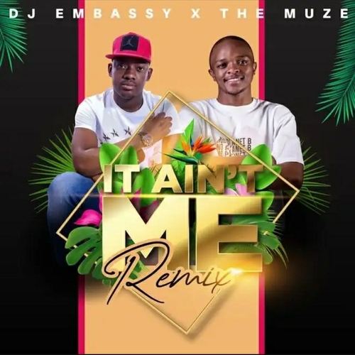 Dj Embassy & The Muze – It Ain’t Me (Remix)
