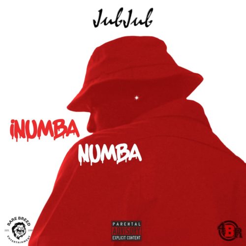 Jub Jub – iNumba Numba