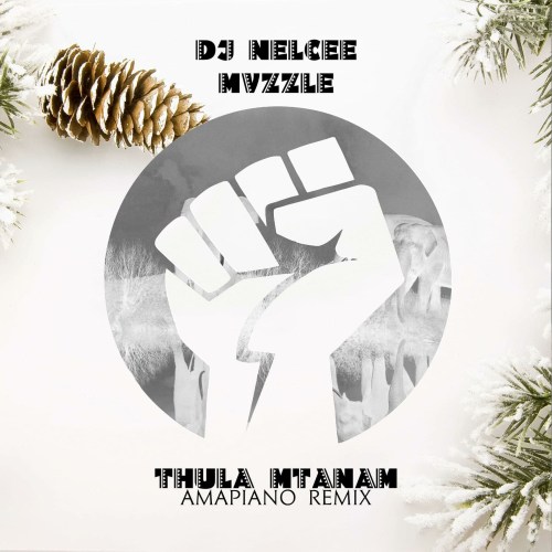 Dj Nelcee & Mvzzle – Thula Mtanami (Amapiano Remix)