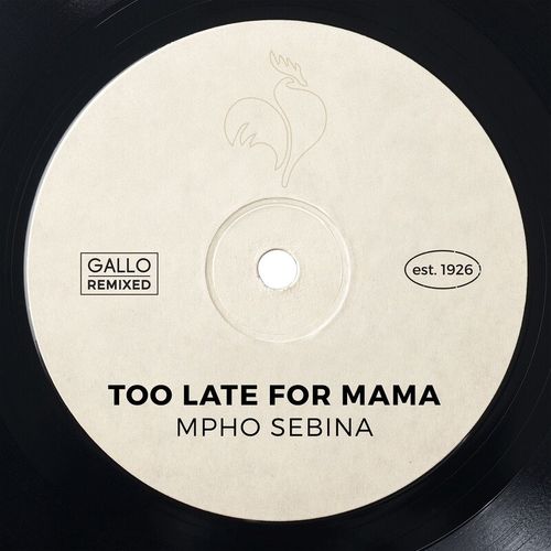 Mpho Sebina – Too Late for Mama