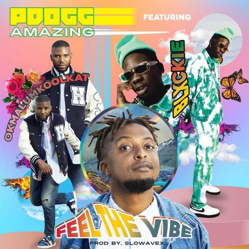 PDogg Amazing – Feeling The Vibe