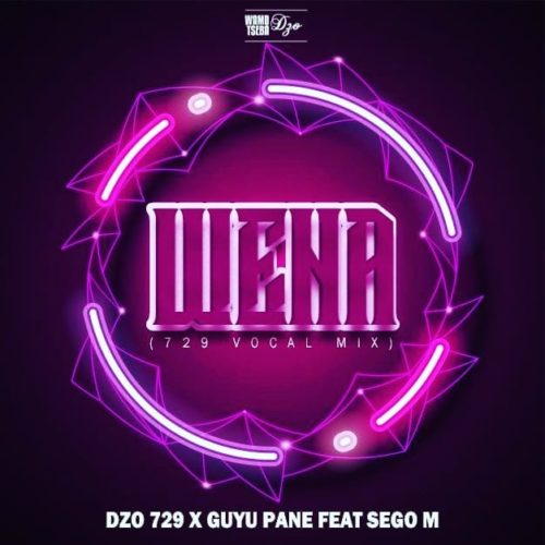 Dzo 729 & Guyu Pane – Wena