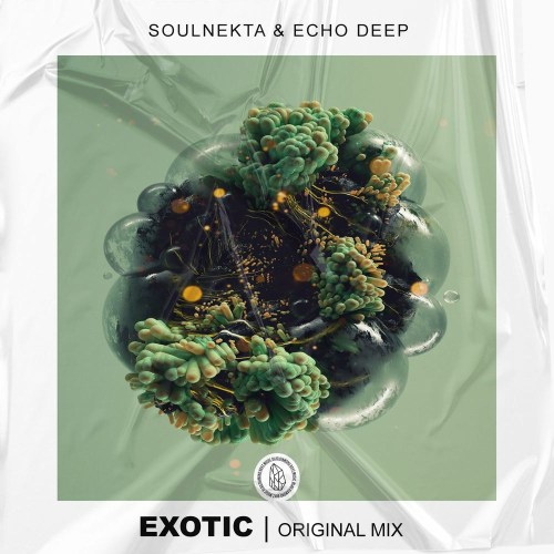 Soulnekta & Echo Deep – Exotic (Original Mix)