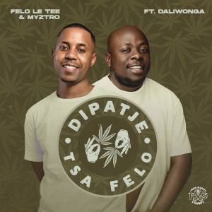 Felo Le Tee & Myztro – Dipatje Tsa Felo