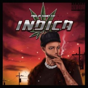 Chad Da Don - Indica EP