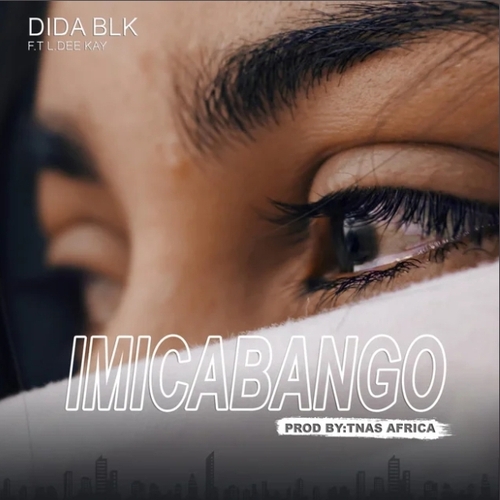 Didablk – Imicabango