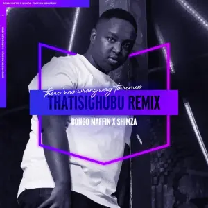 Bongo Maffin – Thath’isigubhu (Shimza Remix)