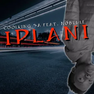 Coolking SA – Iplani