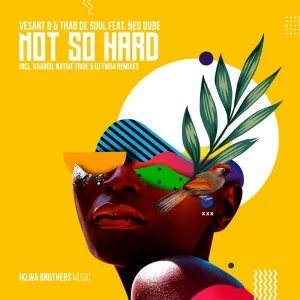 Vesant Q & Thab De Soul – Not So Hard (Incl. Remixes)