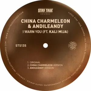 China Charmeleon & AndileAndy – I Warn You (China Charmeleon Version)