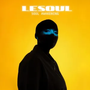 DJ LeSoul – Sebenza