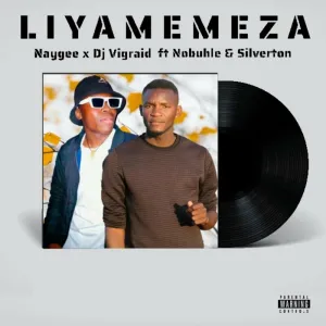 Naygee & Dj Vigraid – Liyamemeza