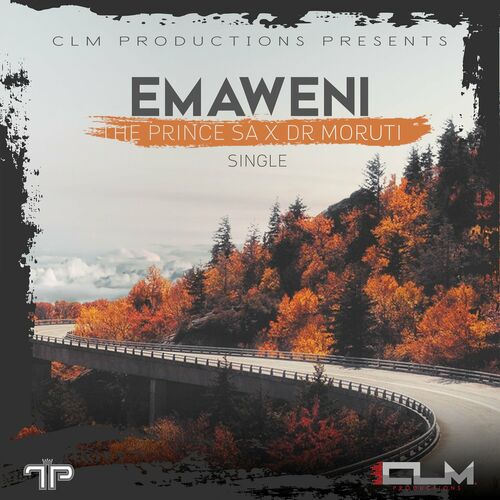 The Prince SA & Dr Moruti - Emaweni