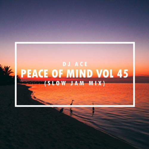 DJ Ace – Peace of Mind Vol 45 (Slow Jam Mix)