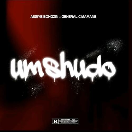 Assiye Bongzin & General C’mamane – Umshudo