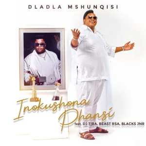 Dladla Mshunqisi – Inokushona Phansi