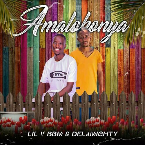 LIL V BBM & Delamighty - Amalokonya