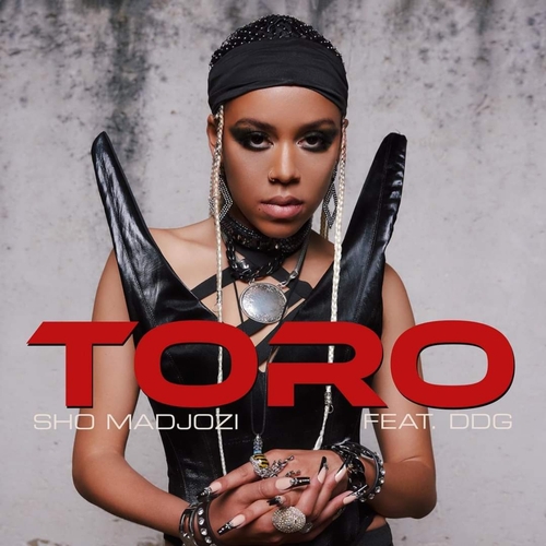 Sho Madjozi – Toro