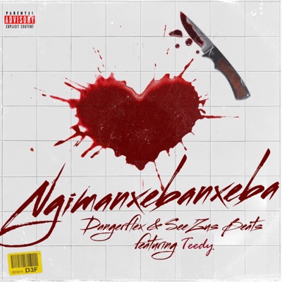 DangerFlex – Ngimanxebanxeba