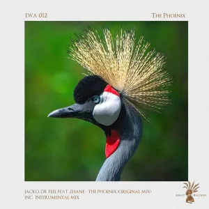 Jacko & Dr Feel – The Phoenix