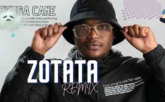 Shuga Cane – Zotata Remix