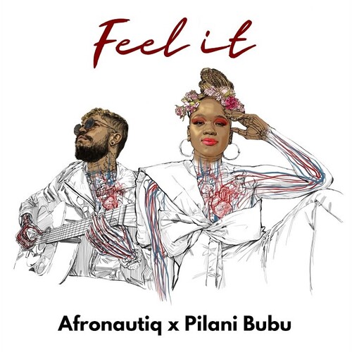AfroNautiq - Feel It