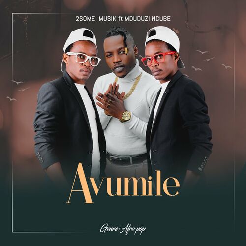 2Some Musik – Avumile