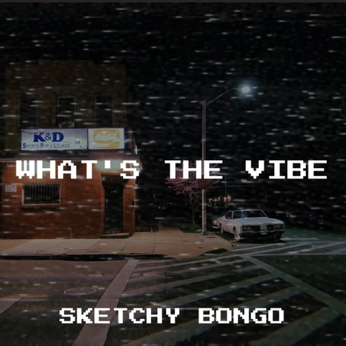 Sketchy Bongo - What's The Vibe